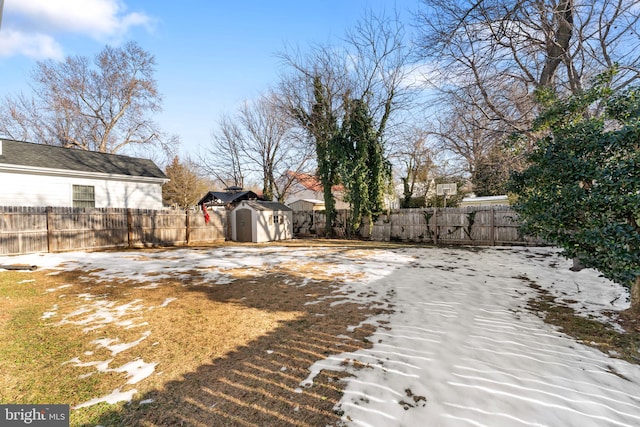 view of yard featuring a storage shed