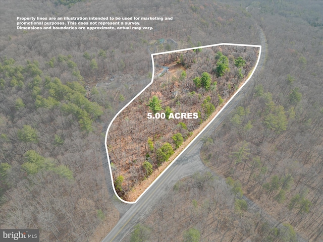 0 Bushy Ridge Dr, Star Tannery VA, 22654 land for sale