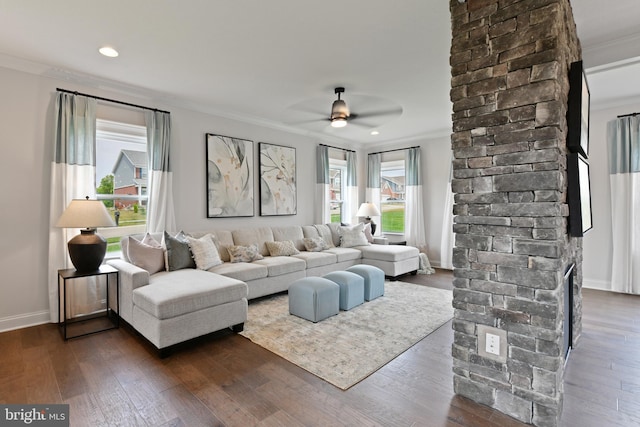 living room featuring crown molding, plenty of natural light, ceiling fan, and dark wood-type flooring