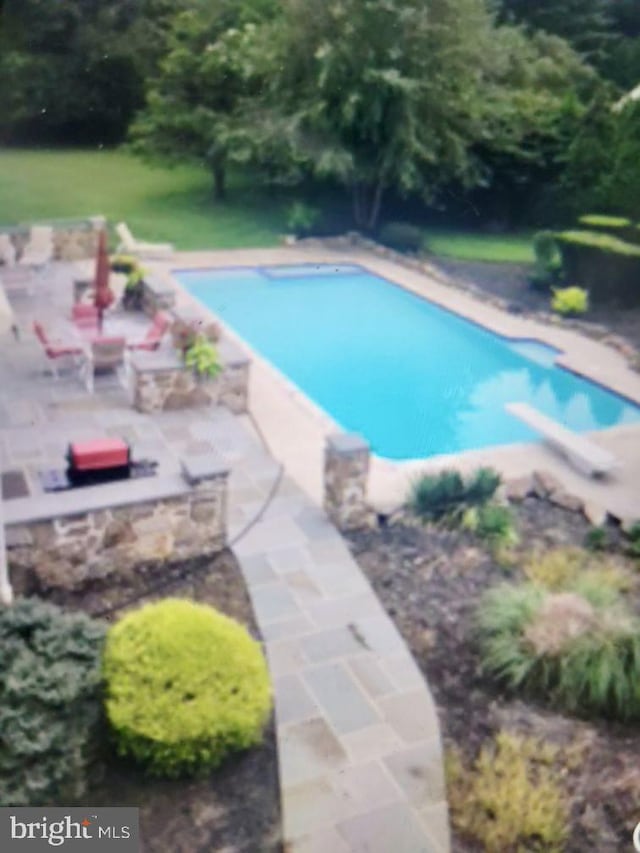 view of pool featuring a patio and a diving board