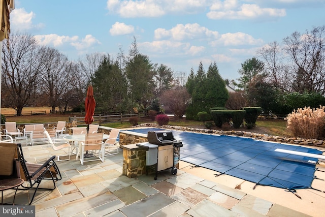 view of pool with a patio