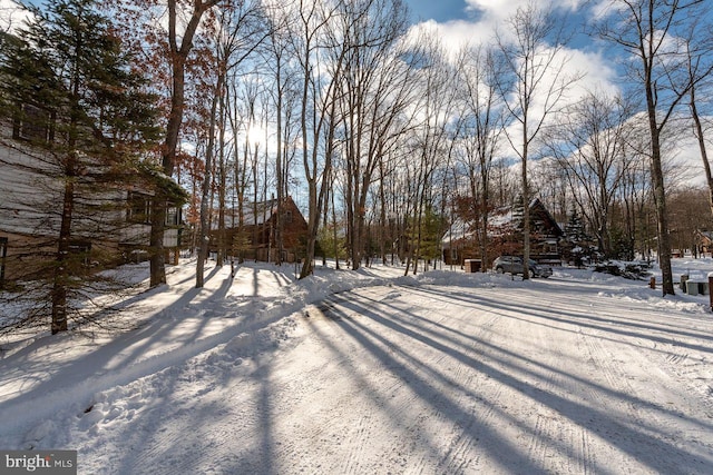 view of yard covered in snow