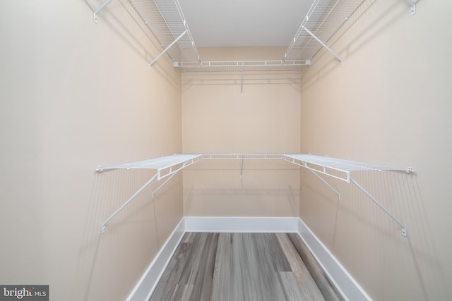 walk in closet with wood-type flooring