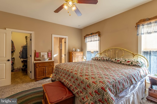 carpeted bedroom with ceiling fan, a walk in closet, and a closet