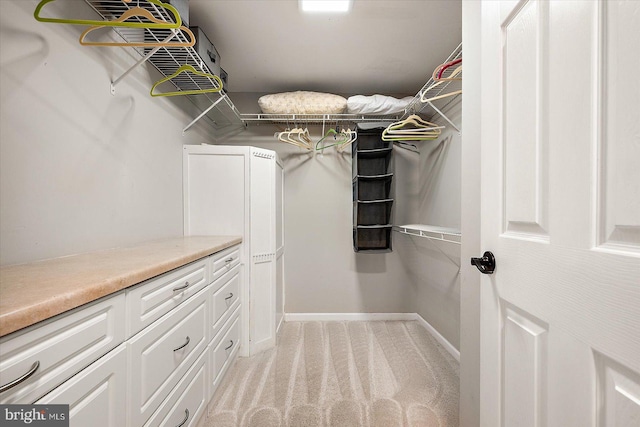 walk in closet with light carpet