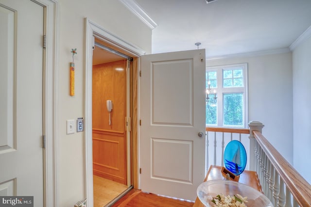 corridor with light wood-type flooring and crown molding