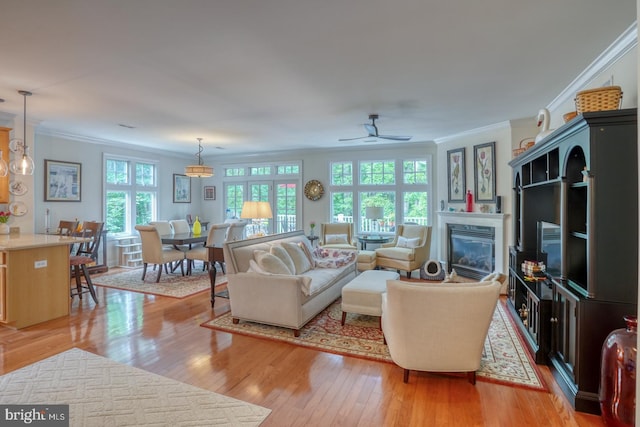 living room with crown molding, ceiling fan, and light wood-type flooring