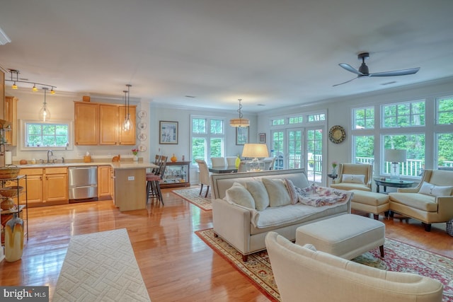 living room featuring light hardwood / wood-style floors, a wealth of natural light, ornamental molding, and ceiling fan