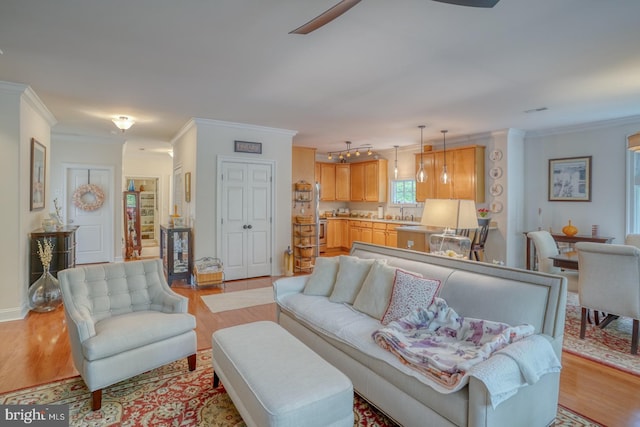 living room featuring ornamental molding and light hardwood / wood-style flooring