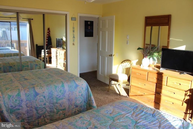 bedroom featuring a closet and carpet floors