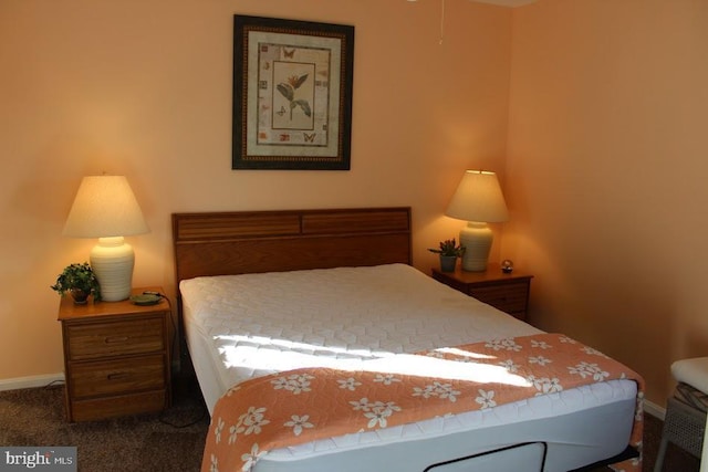 view of carpeted bedroom