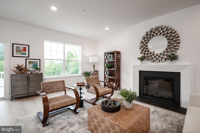 living area with light hardwood / wood-style flooring