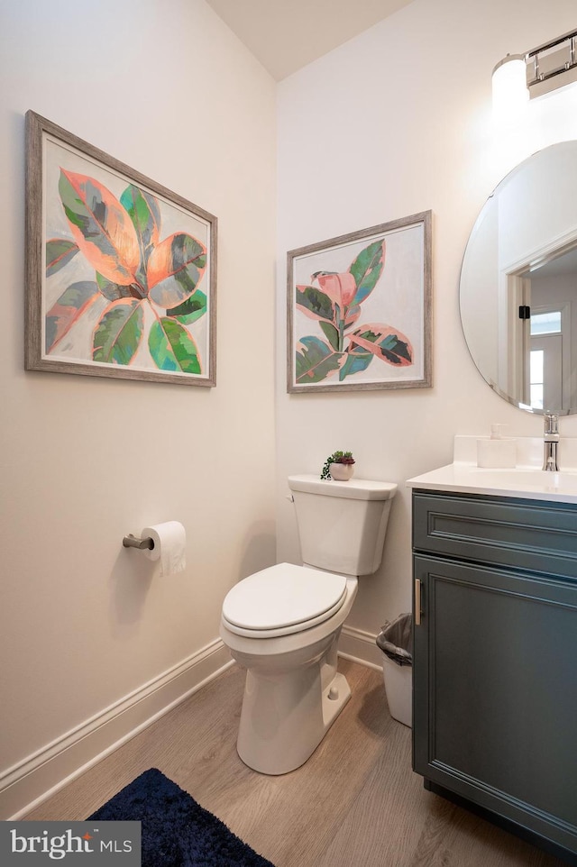 bathroom with vanity, wood-type flooring, and toilet