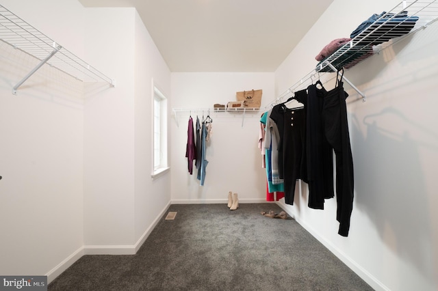 spacious closet featuring dark colored carpet