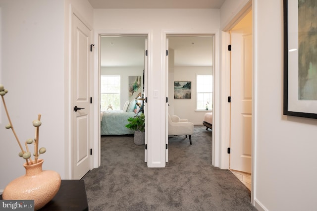 hall with dark carpet and a wealth of natural light