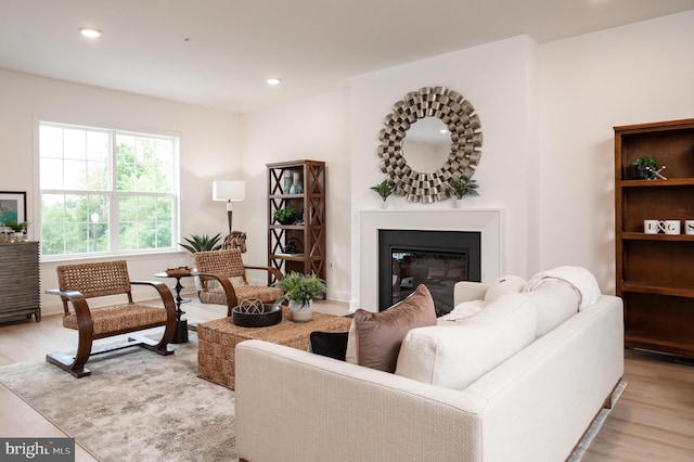 living room featuring light hardwood / wood-style floors