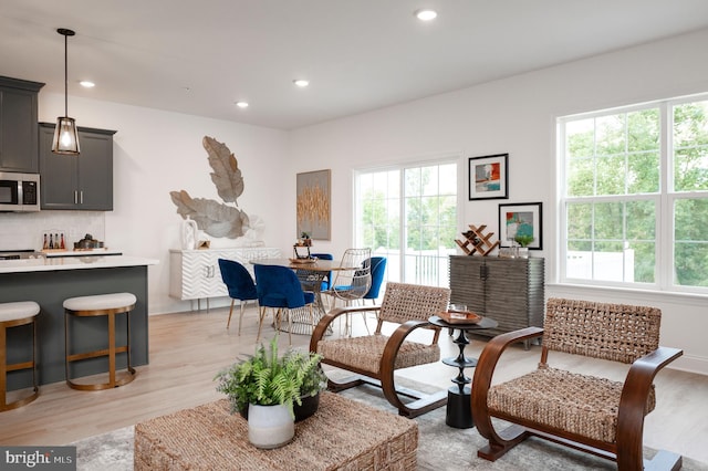 sitting room featuring light wood-type flooring and a wealth of natural light