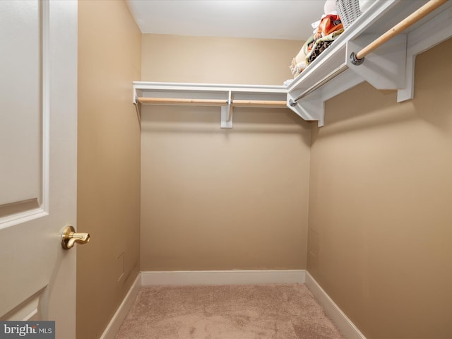 walk in closet with carpet