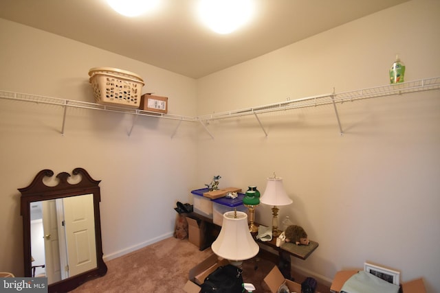 spacious closet with carpet floors