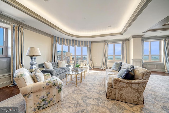 living room featuring a raised ceiling, a wealth of natural light, and hardwood / wood-style floors