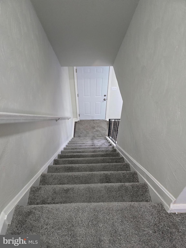 staircase featuring carpet