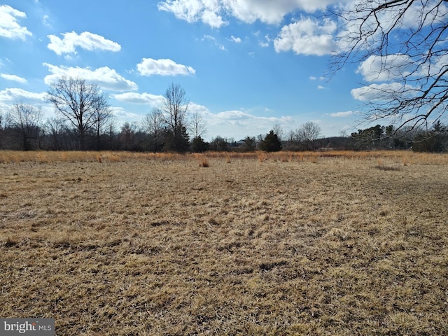 view of yard with a rural view