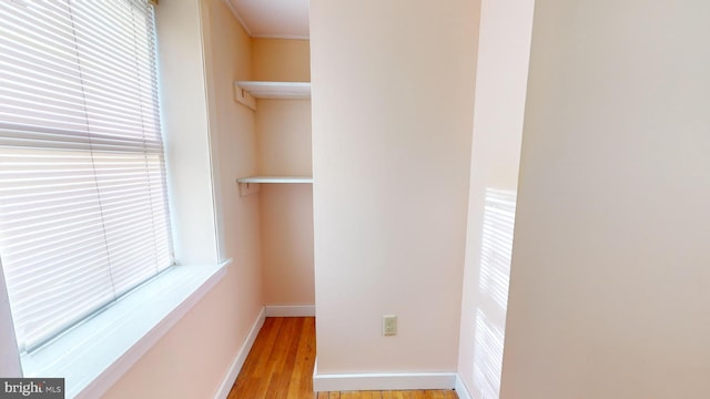 walk in closet with light hardwood / wood-style floors