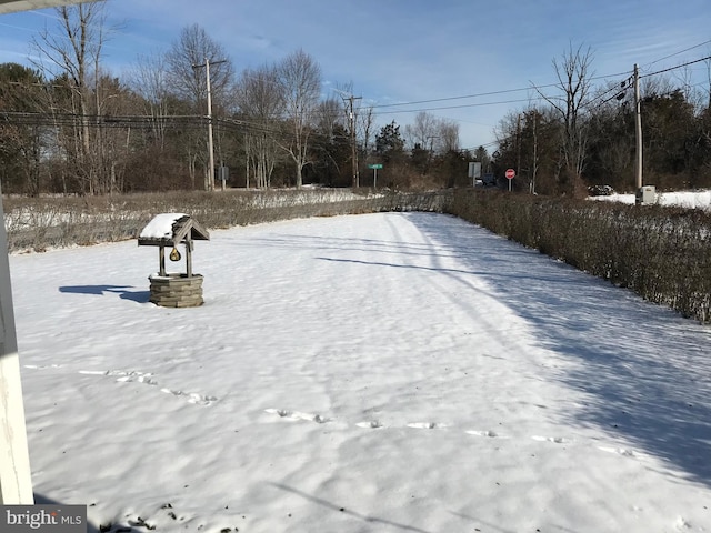 view of yard covered in snow