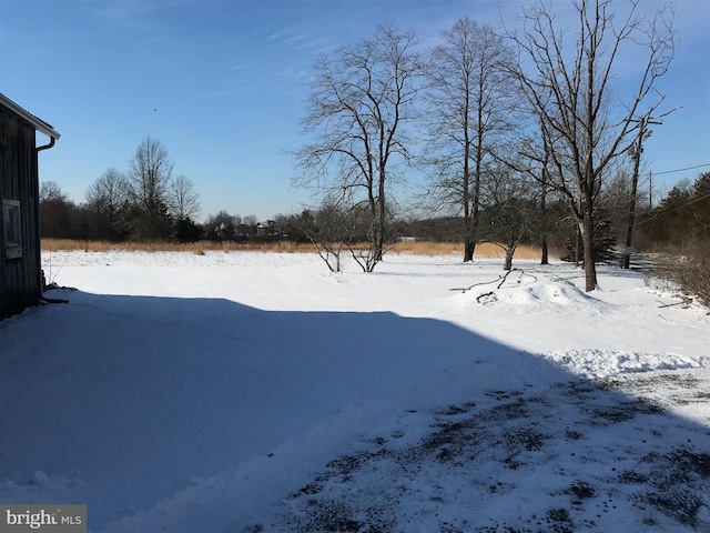 view of yard covered in snow