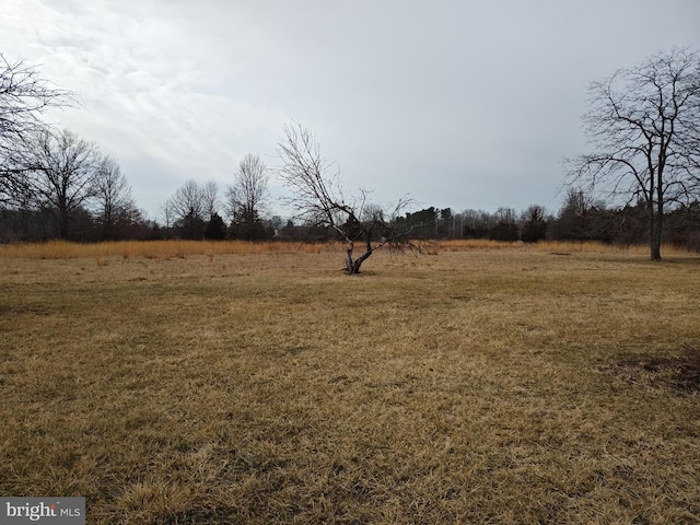 view of yard with a rural view