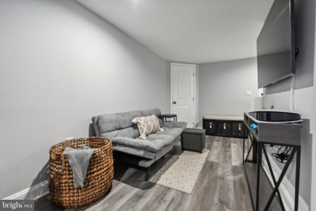 living room with hardwood / wood-style floors