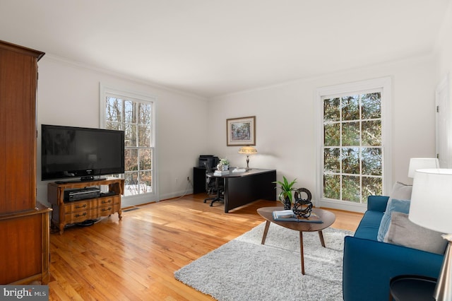 living room featuring ornamental molding and light hardwood / wood-style floors