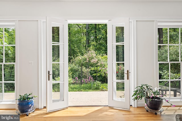 entryway featuring french doors, a healthy amount of sunlight, and hardwood / wood-style floors