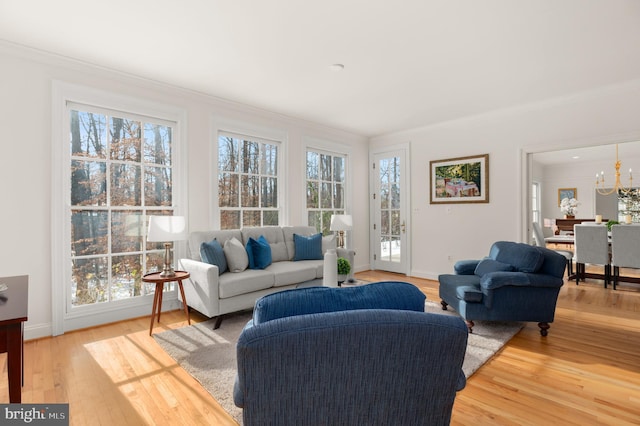 living room with an inviting chandelier, ornamental molding, wood-type flooring, and plenty of natural light