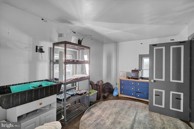 game room featuring vaulted ceiling and dark hardwood / wood-style floors