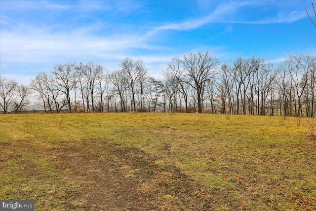 view of local wilderness featuring a rural view