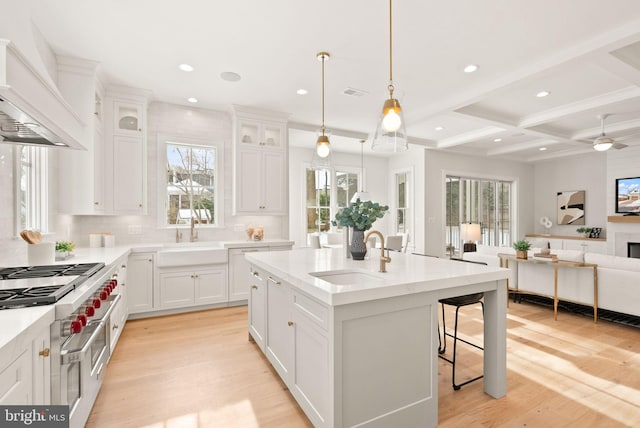 kitchen with a center island with sink, custom exhaust hood, white cabinets, and sink