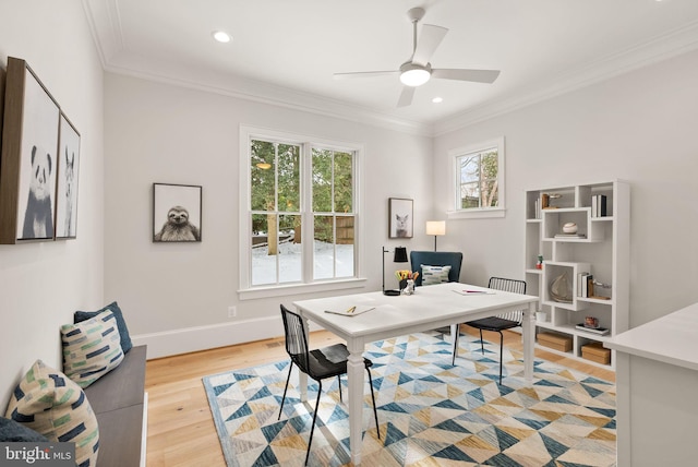 office space with ceiling fan, light hardwood / wood-style floors, and crown molding