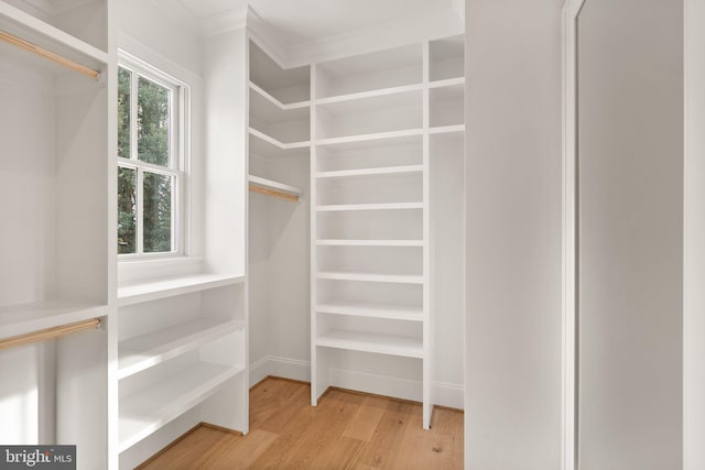 spacious closet with wood-type flooring