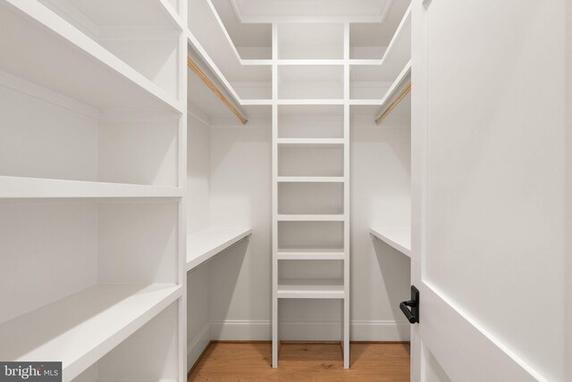 walk in closet featuring hardwood / wood-style flooring