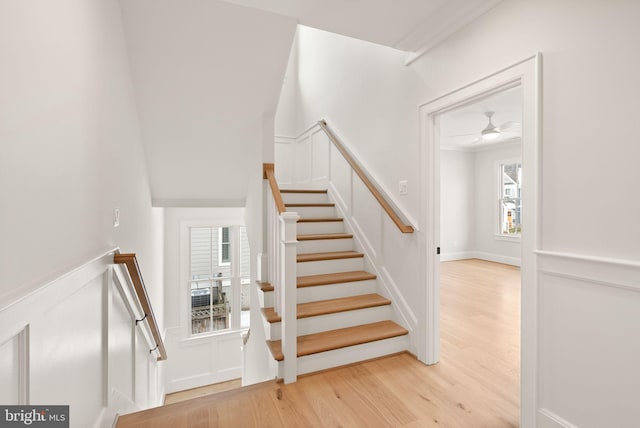 stairway with hardwood / wood-style floors, ceiling fan, and crown molding