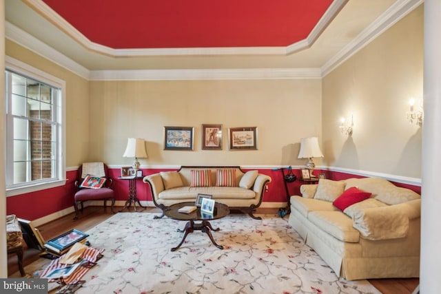 living room featuring a tray ceiling, plenty of natural light, and crown molding