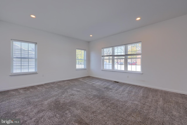 unfurnished room featuring carpet and a healthy amount of sunlight