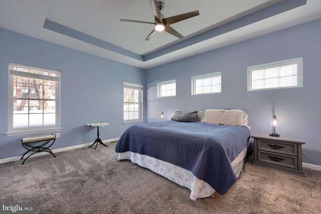 carpeted bedroom with ceiling fan and a tray ceiling