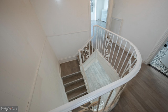 staircase featuring wood-type flooring