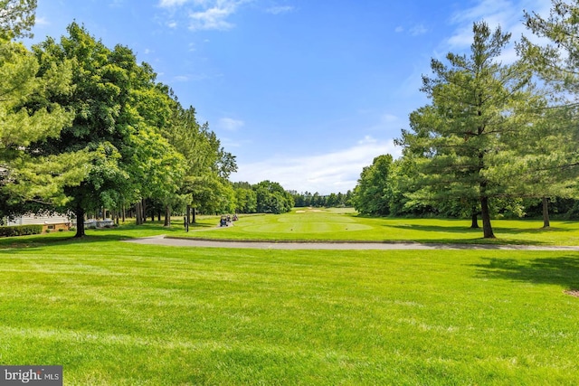 view of community featuring a yard