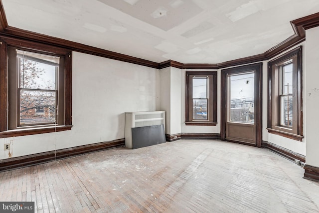 empty room featuring light hardwood / wood-style flooring