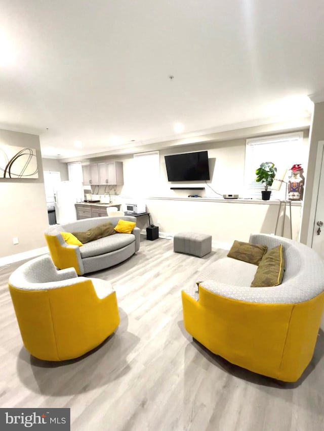 living room featuring light hardwood / wood-style flooring