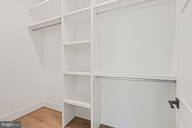 walk in closet with hardwood / wood-style floors