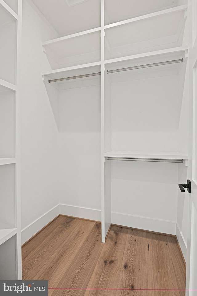 walk in closet featuring light hardwood / wood-style floors